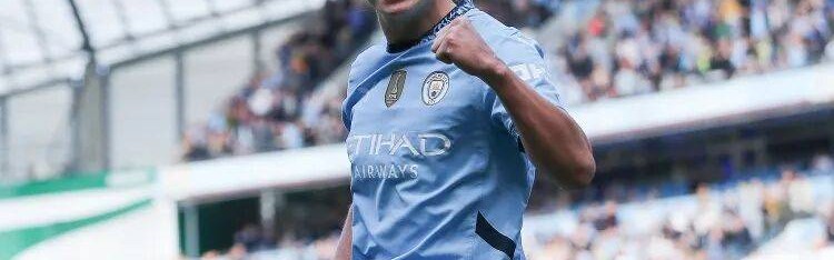 哈兰德：为进世界杯我们已奋斗了六年！