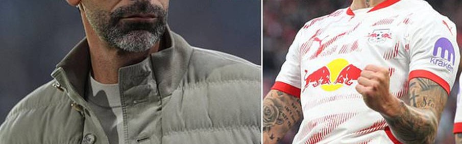 里奥：曼联不应该去买塞什科 真有这笔钱 就去买巴莱巴