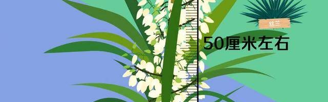 阿贾克斯青年军惊艳，欧冠淘汰赛淘汰皇马