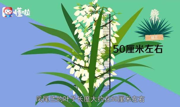 阿贾克斯青年军惊艳，欧冠淘汰赛淘汰皇马